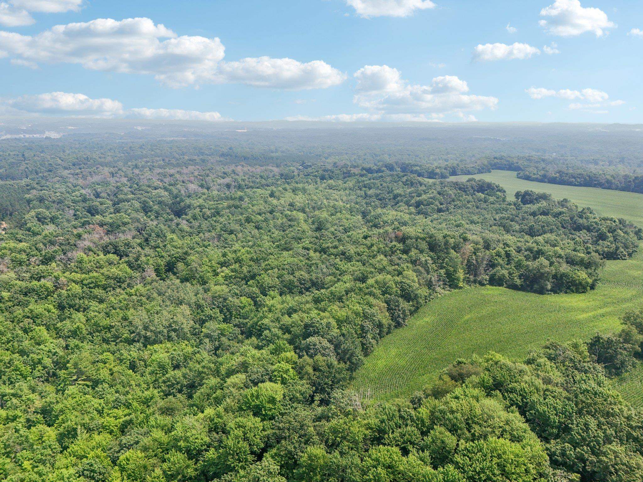 Wisconsin Dells, Wisconsin 53965, United States, ,Land,Active,186596