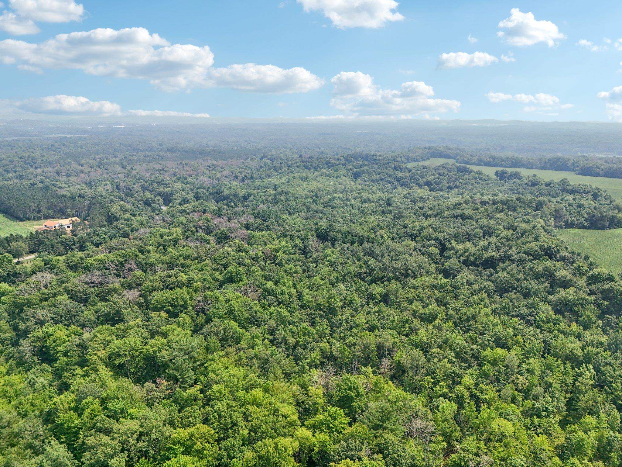 Wisconsin Dells, Wisconsin 53965, United States, ,Land,Active,186596