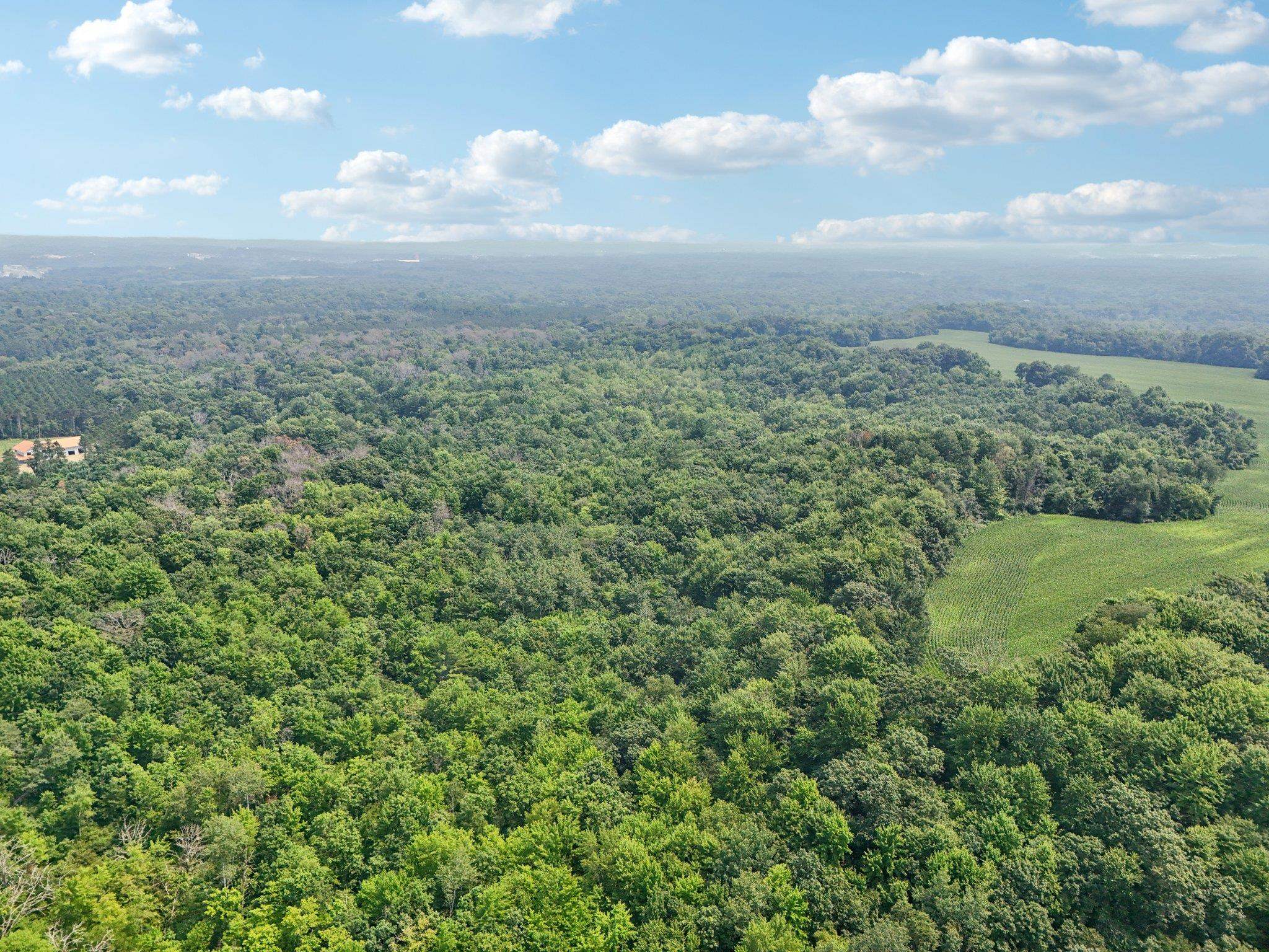 Wisconsin Dells, Wisconsin 53965, United States, ,Land,Active,186596