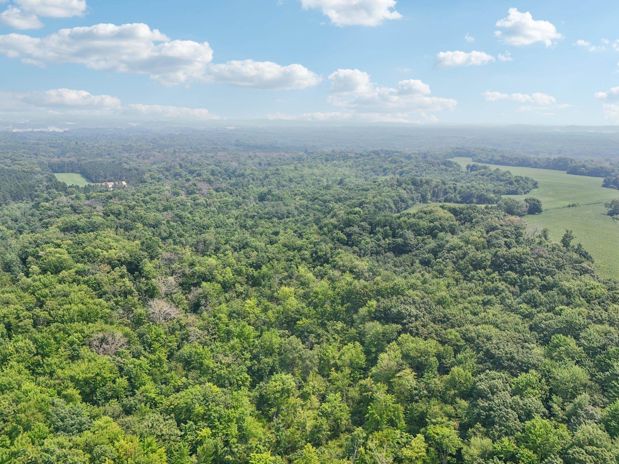 Wisconsin Dells, Wisconsin 53965, United States, ,Land,Active,186596