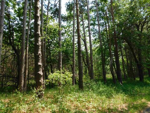 Photo of N4502 Pine Drive, Montello, WI 53949 (MLS # 2004866) Photo of N4502 Pine Drive, Montello, WI 53949 (MLS # 2004866)