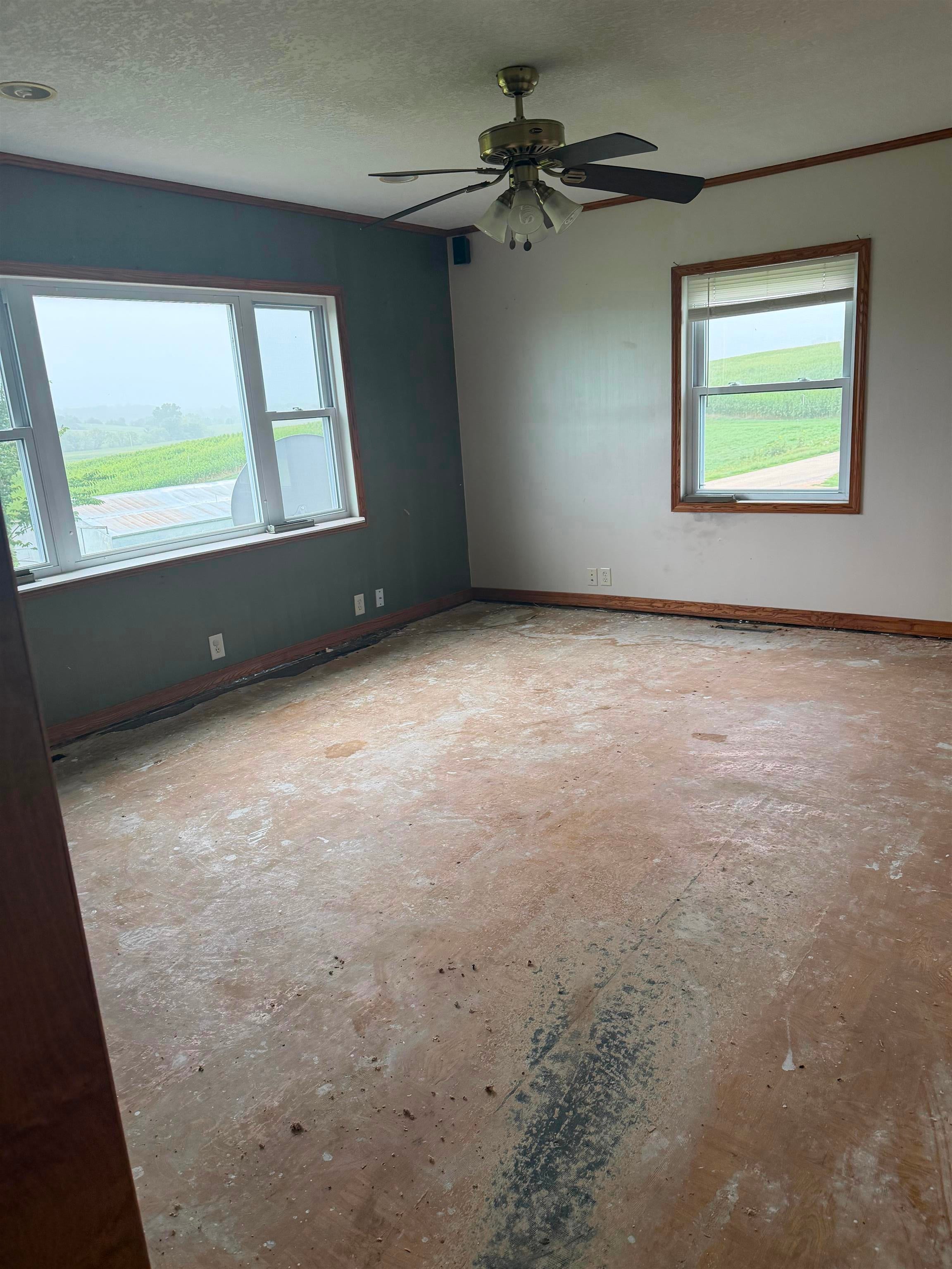 11481 Trotter Road - Photo 2