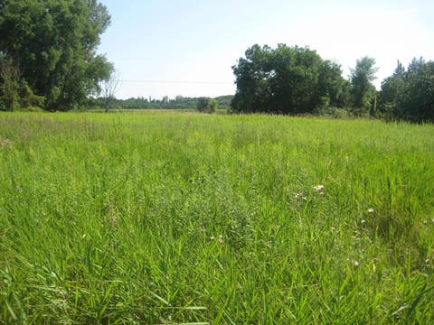 Featured picture for the property 1940785