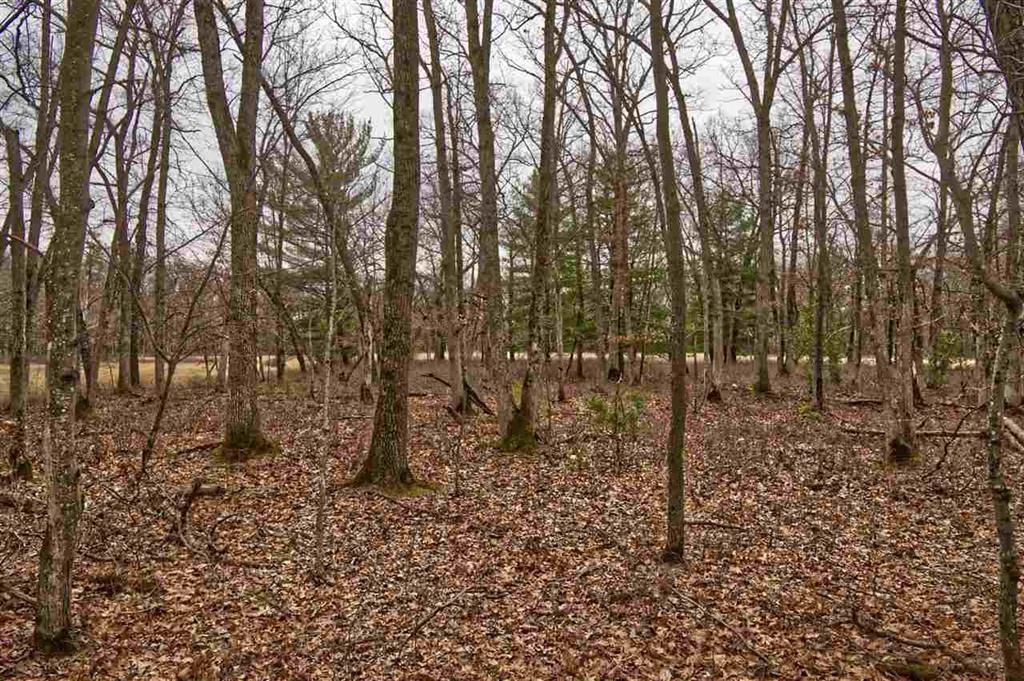 Wisconsin Dells, Wisconsin 53965, United States, ,Land,Active,191725