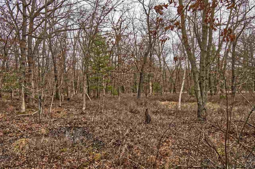 Wisconsin Dells, Wisconsin 53965, United States, ,Land,Active,191725