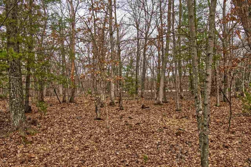 Wisconsin Dells, Wisconsin 53965, United States, ,Land,Active,191725