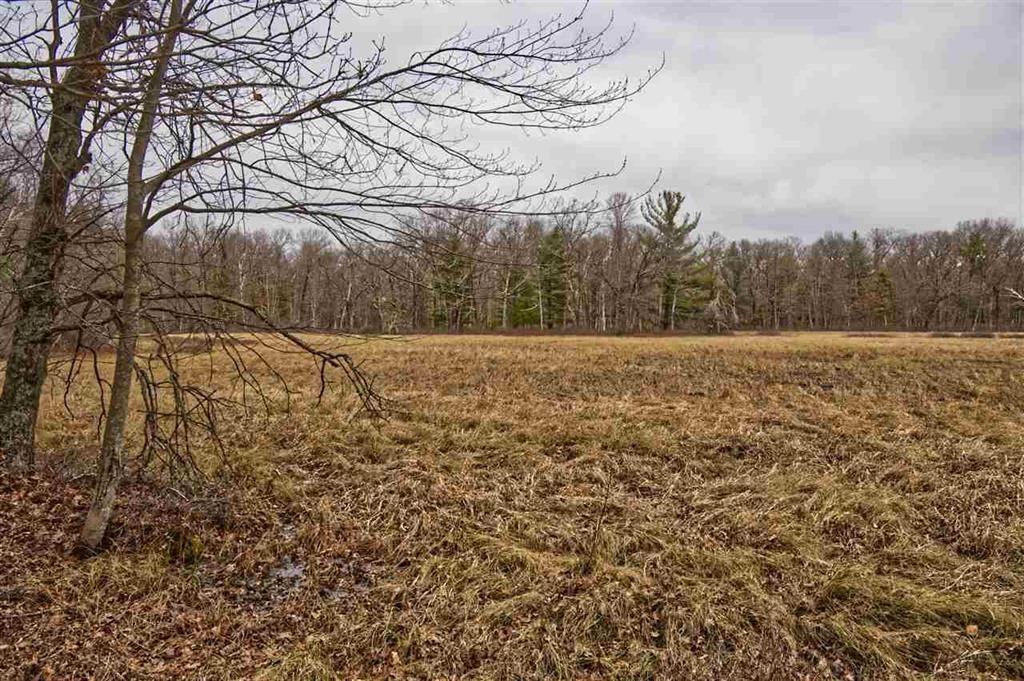 Wisconsin Dells, Wisconsin 53965, United States, ,Land,Active,191725