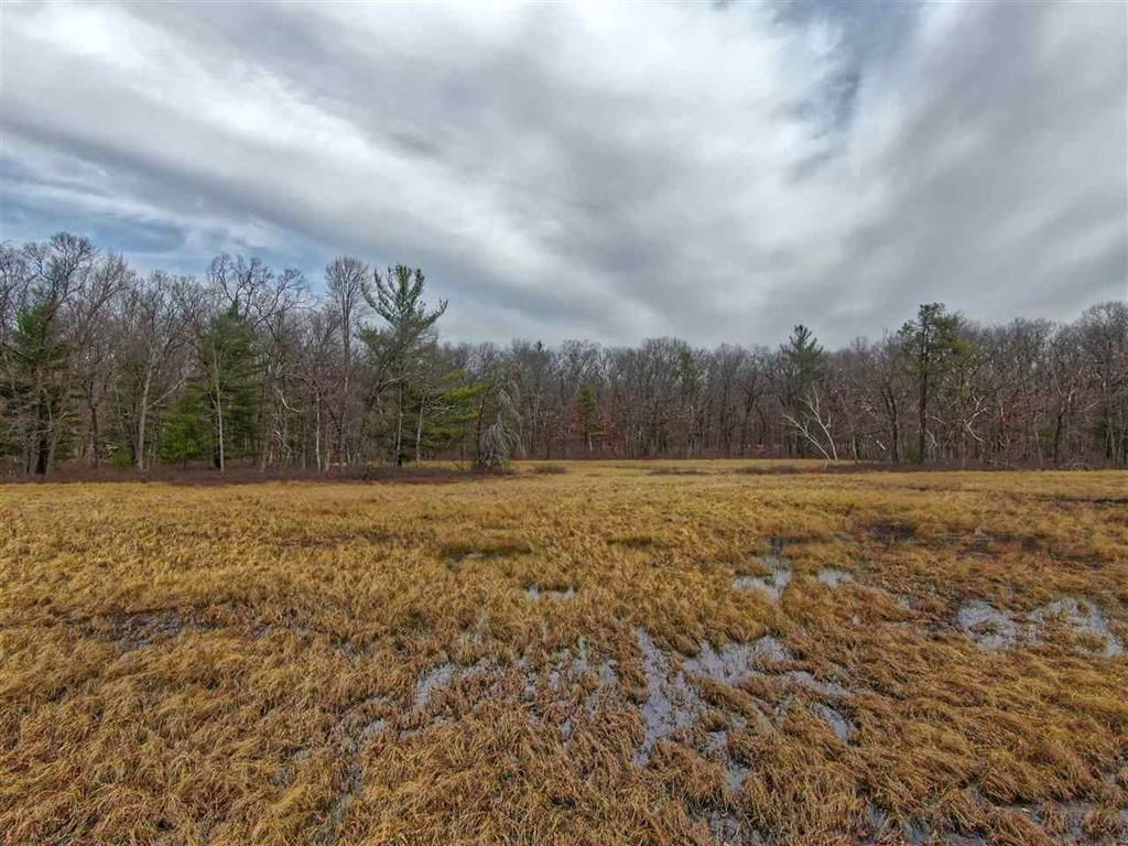 Wisconsin Dells, Wisconsin 53965, United States, ,Land,Active,191725