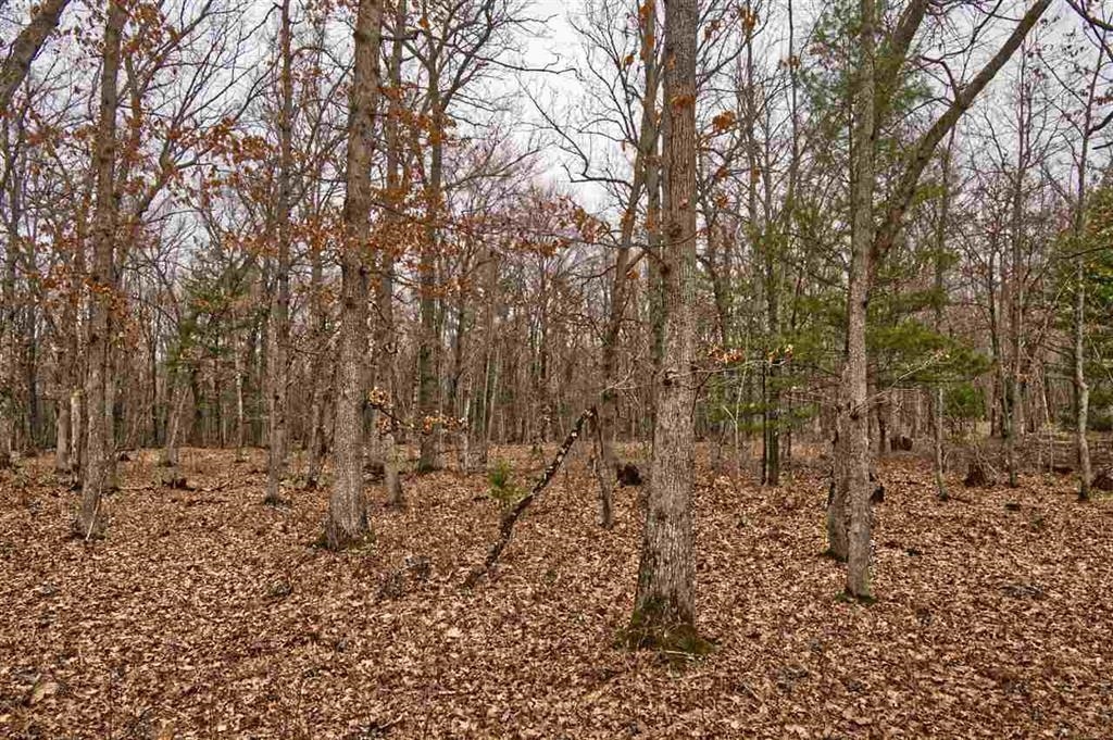 Wisconsin Dells, Wisconsin 53965, United States, ,Land,Active,191725