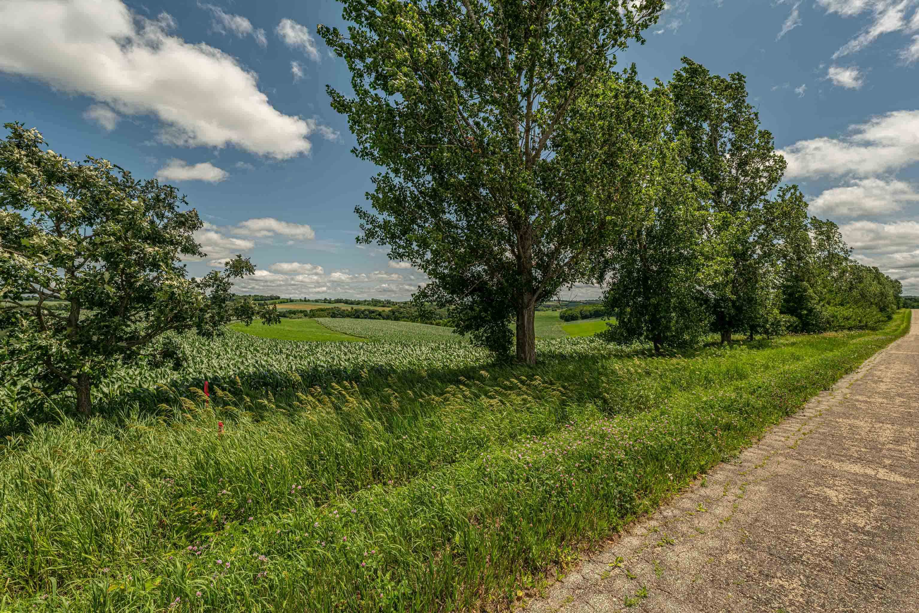 Lot 6 11.5 Acres Hefty Road - Photo 2