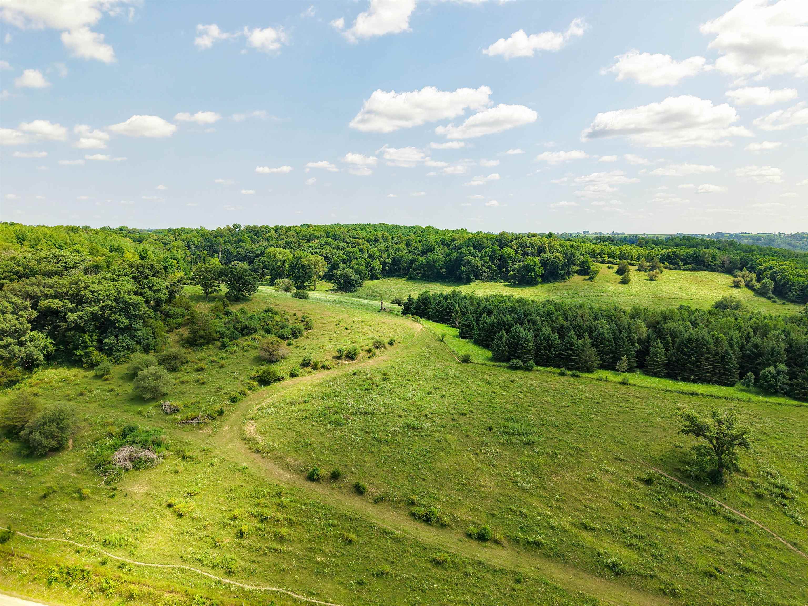 41 m/l Acres Cannon Road