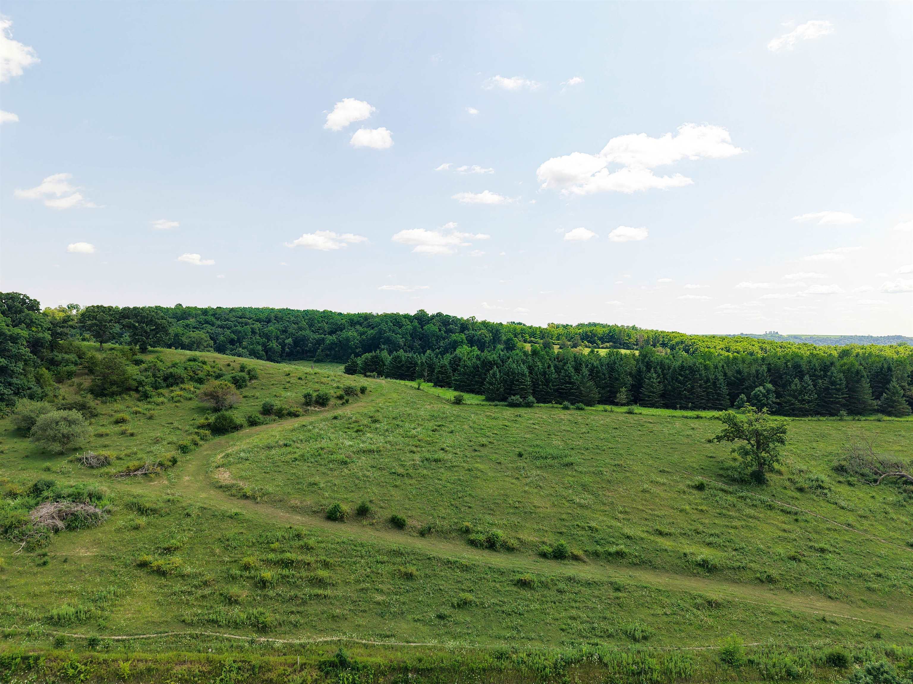 41 m/l Acres Cannon Road