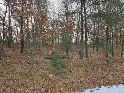 Tiny photo for 1163 Brown Bear Trail, Nekoosa, WI 54457 (MLS # 1992932)