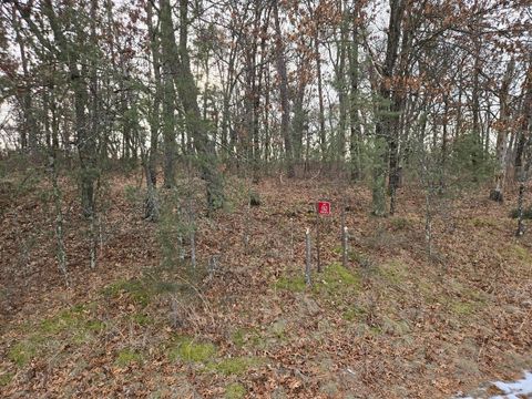 Tiny photo for 1163 Brown Bear Trail, Nekoosa, WI 54457 (MLS # 1992932)