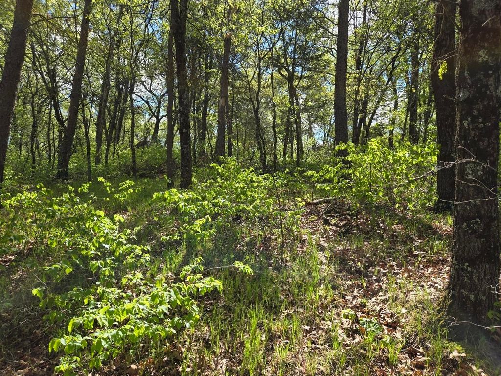 Photo for 1163 Brown Bear Trail, Nekoosa, WI 54457 (MLS # 1992932)