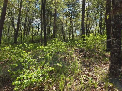 Photo of 1163 Brown Bear Trail, Nekoosa, WI 54457 (MLS # 1992932) Photo of 1163 Brown Bear Trail, Nekoosa, WI 54457 (MLS # 1992932)