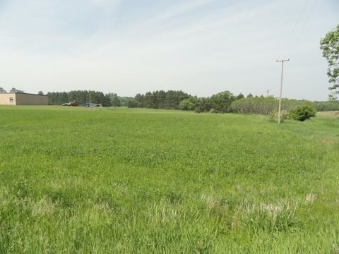 Tiny photo for N5275 County Road NN, Pine River, WI 54965 (MLS # 2001635)