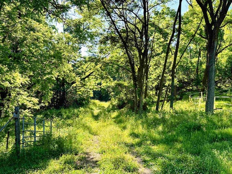 Photo of 26 acres +/- Tanglewood Drive, McGregor, IA 52157 (MLS # 2025782)