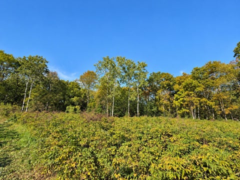 Photo of Lot 1 CSM 12361, Black Earth, WI 53515 (MLS # 2034054)
