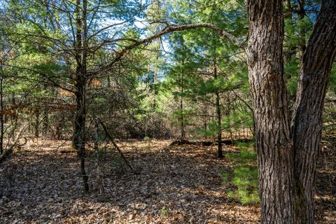 Photo of Lot 4 Morros Mile Road, Necedah, WI 54646 (MLS # 2019987)