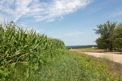 Photo of 13.2 Acres County Hwy H, Ridgeway, WI 53582 (MLS # 2029911)
