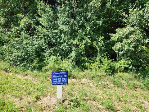 Photo of 205 Savannah Parkway, Deerfield, WI 53531 (MLS # 2018404)