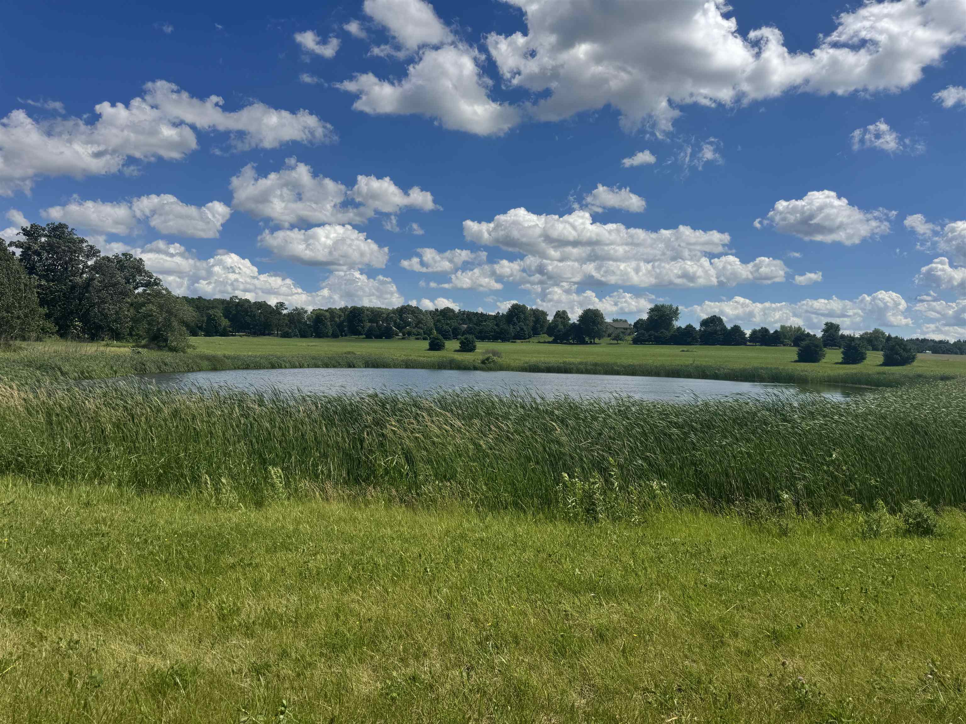 Lot 82 Ryan Road - Photo 4