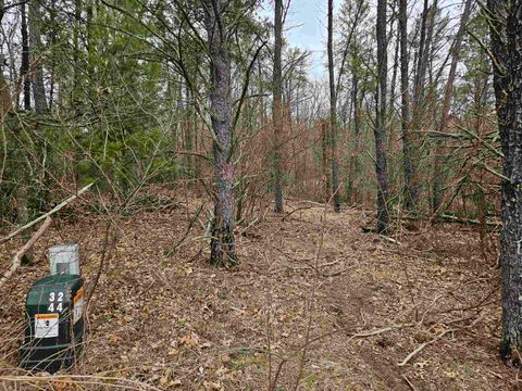 Tiny photo for 1150 Gale Court, Wisconsin Dells, WI 53965 (MLS # 2004988)