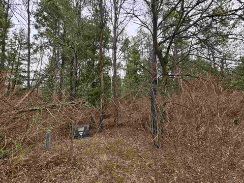 Tiny photo for 1150 Gale Court, Wisconsin Dells, WI 53965 (MLS # 2004988)