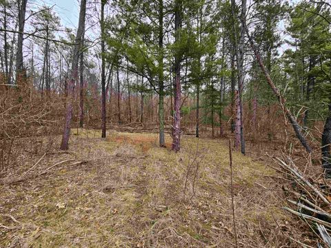 Tiny photo for 1150 Gale Court, Wisconsin Dells, WI 53965 (MLS # 2004988)