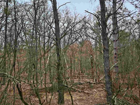 Tiny photo for 1150 Gale Court, Wisconsin Dells, WI 53965 (MLS # 2004988)