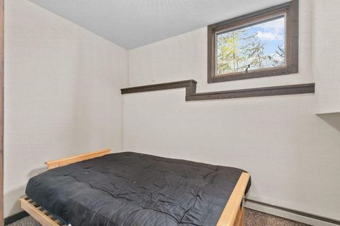 Tiny photo for N4826 N Lakeshore Drive, Princeton, WI 54968 (MLS # MM1898029)