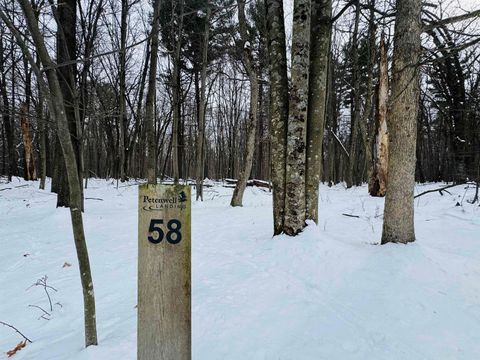 Photo of Lot 58 Badger Court, Arkdale, WI 54613 (MLS # 2017670)