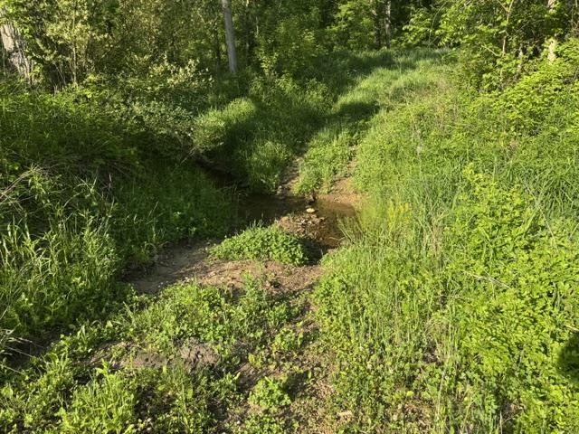 000 Byrd's Creek Road