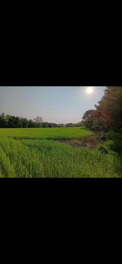 Tiny photo for L1 State Hwy 22, Montello, WI 53949 (MLS # 2014887)