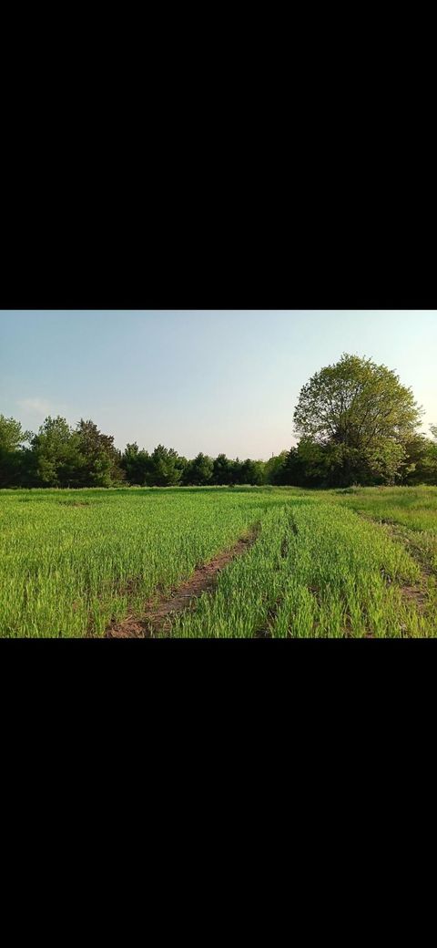 Tiny photo for L1 State Hwy 22, Montello, WI 53949 (MLS # 2014887)