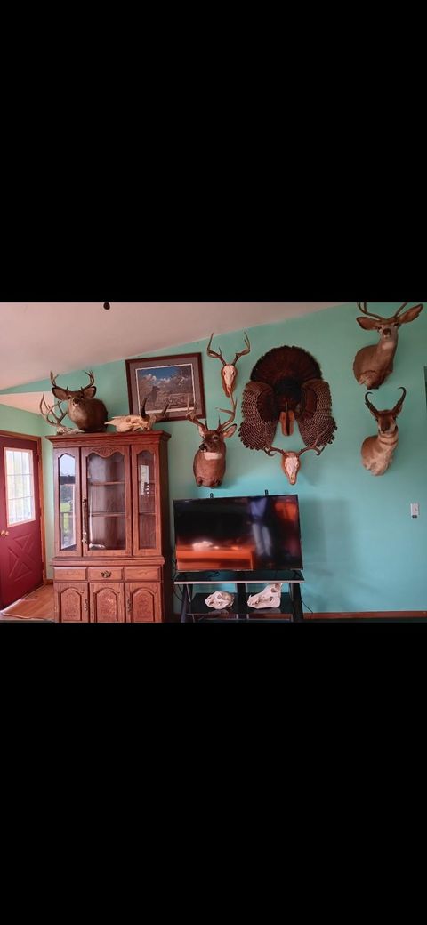 Tiny photo for L1 State Hwy 22, Montello, WI 53949 (MLS # 2014887)