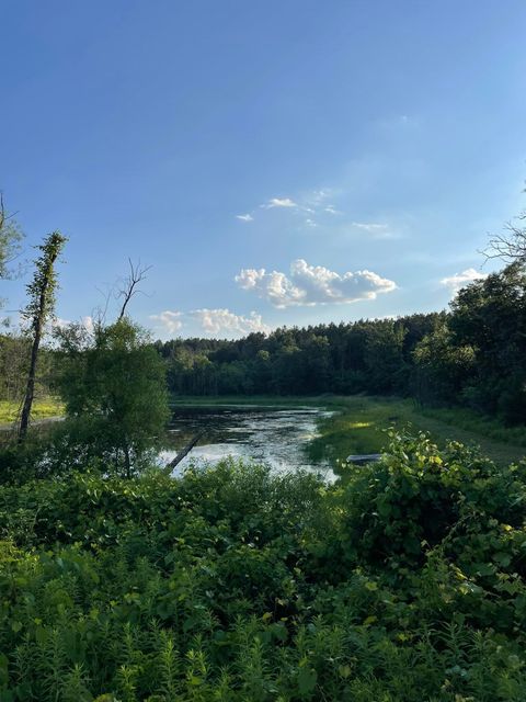 Tiny photo for N1143 County Road CH, Coloma, WI 54930 (MLS # 2003719)