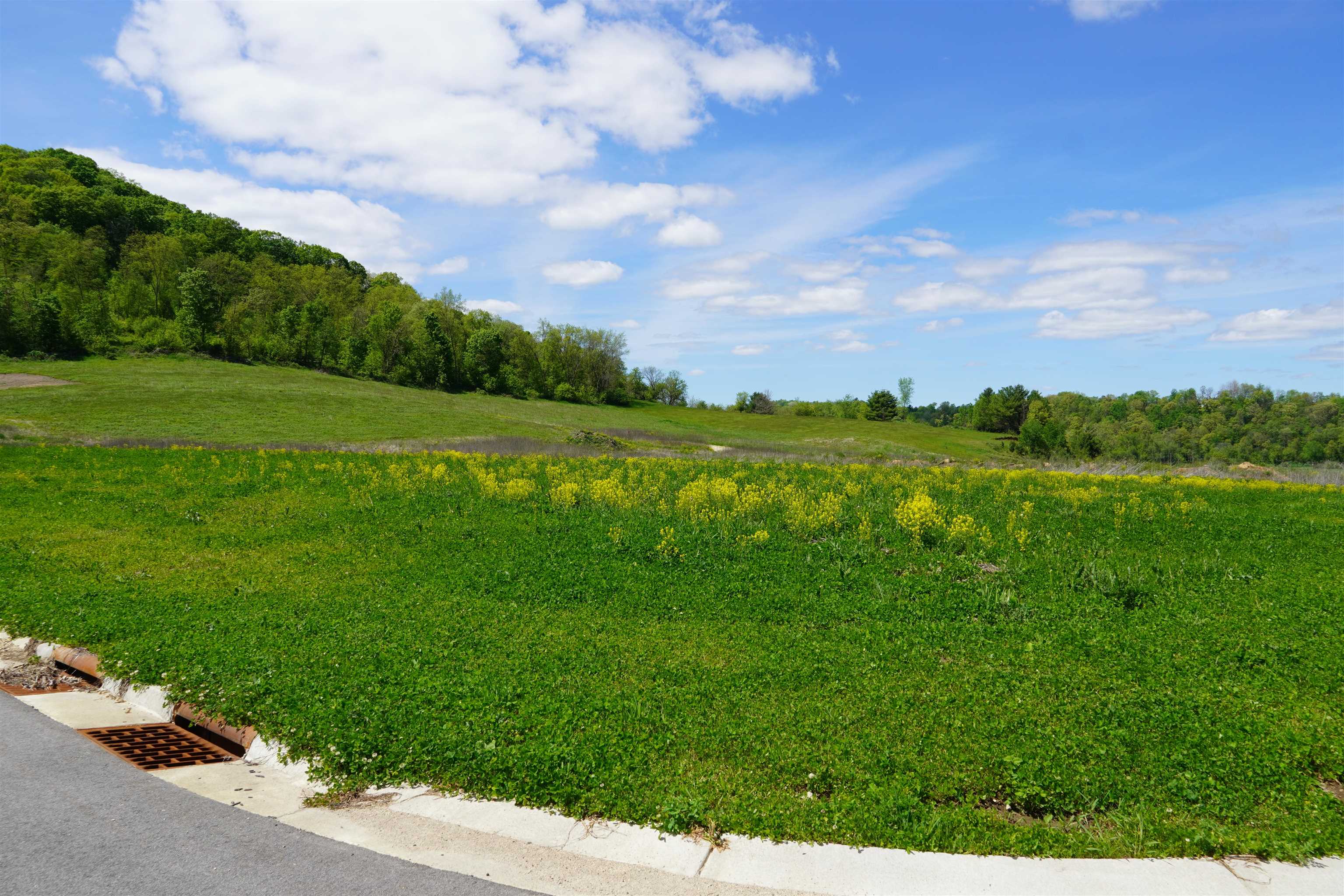 Lot 2 Pearson Place