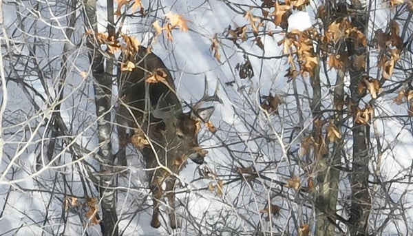60.14 AC DEERBORN DRIVE, FRIENDSHIP, WI 53934 - Image a0ef026803c4d942ba01cc2dc856e9ad/28219508