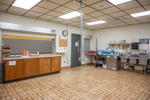 Tiny photo for 201 Hoehn Drive, Lyndon Station, WI 53944 (MLS # 2012988)