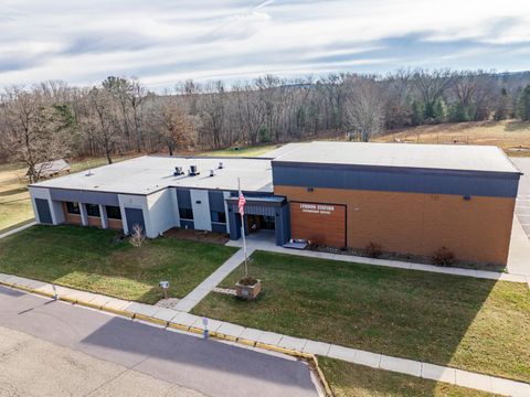 Tiny photo for 201 Hoehn Drive, Lyndon Station, WI 53944 (MLS # 2012988)