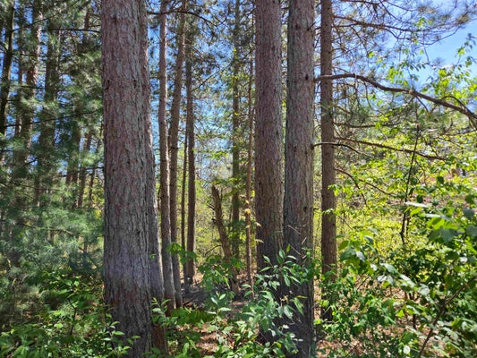 LOT 204 RAVEN DRIVE, NEW LISBON, WI 53950 - Image a199dc4ecca55357519d168d4c8ae0c0/2548684030