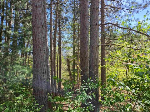 Photo of Lot 204 Raven Drive, New Lisbon, WI 53950 (MLS # 2023366)
