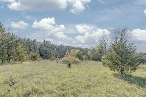 Tiny photo for 3646 13th Drive, Wisconsin Dells, WI 53965 (MLS # 1999209)