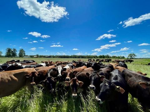 Photo of TBD 5th Avenue, Camp Douglas, WI 54618 (MLS # 2014671)