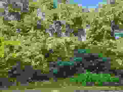 Photo of Lot 307 Hunter Glen Circle, Baraboo, WI 53913 (MLS # 2029038)