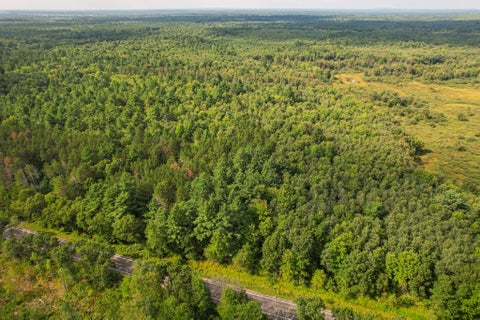 Photo of 0000 State Hwy 173, Wisconsin Rapids, WI 54495 (MLS # 2031942)