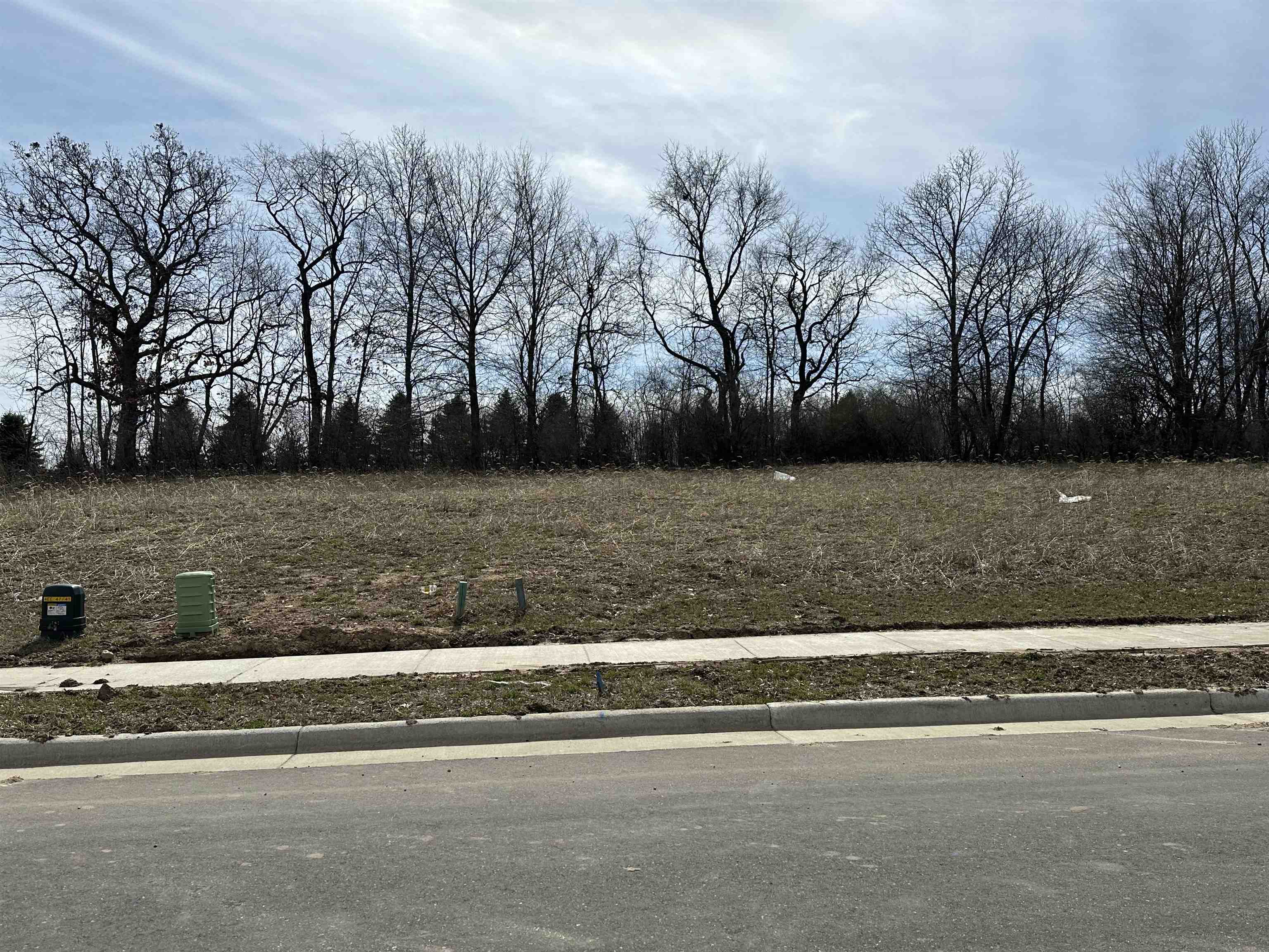 Stoughton, Wisconsin 53589, United States, ,Land,Active,54145