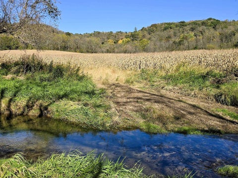 Photo of 196+/- acres Highway 171, Gays Mills, WI 54631 (MLS # 2034433)